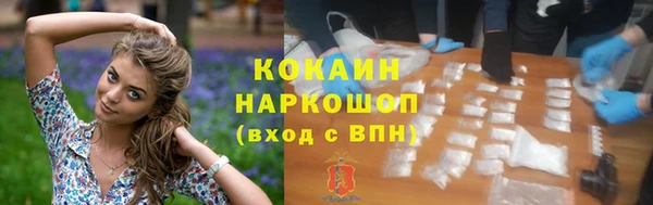 гашик Каменногорск