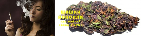 гашик Каменногорск