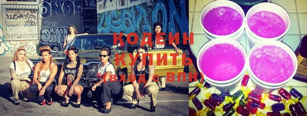 гашик Каменногорск