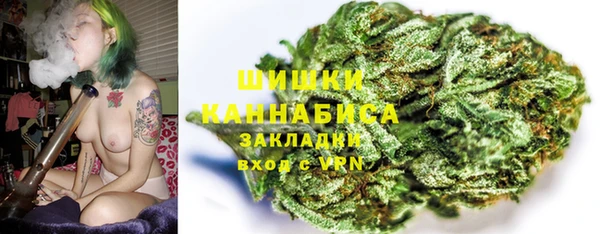 гашик Каменногорск