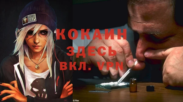гашик Каменногорск