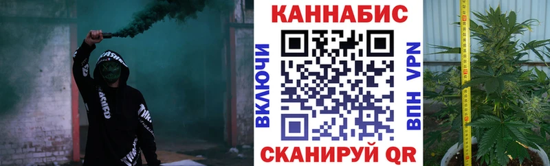 Купить  Тара  Канабис MAZAR 